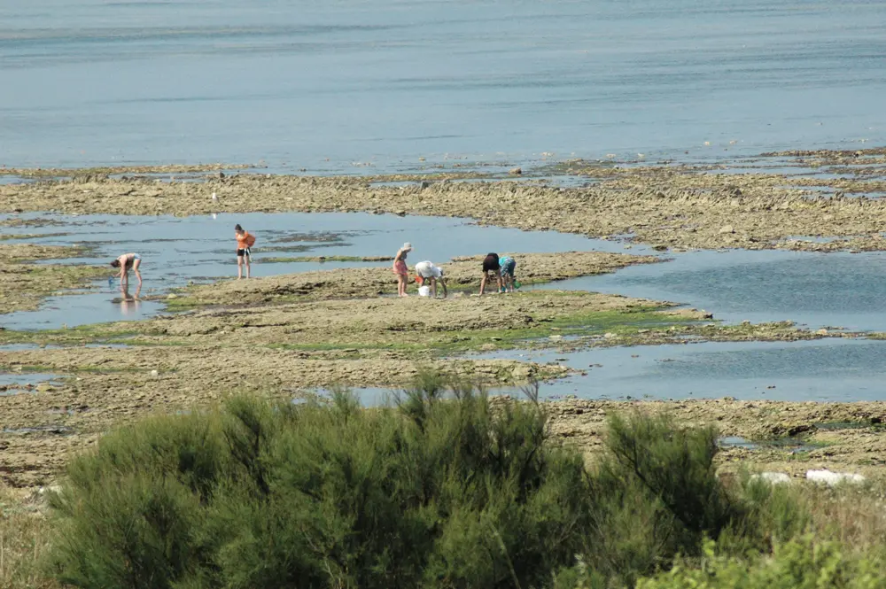 Camping Le Suroit4 étoiles★★★★