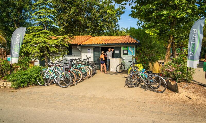 France - Atlantique Nord - Ile d'Oléron - Camping Oléron Loisirs 4*