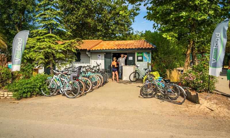 Camping Oléron Loisirs **** - Île d'Oléron - 22