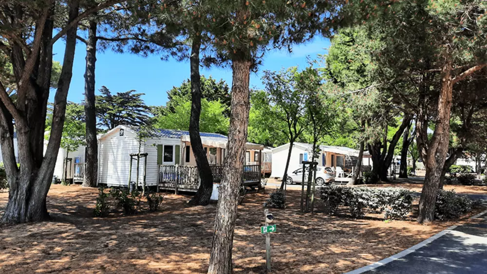 Camping Antioche 4 étoiles★★★★