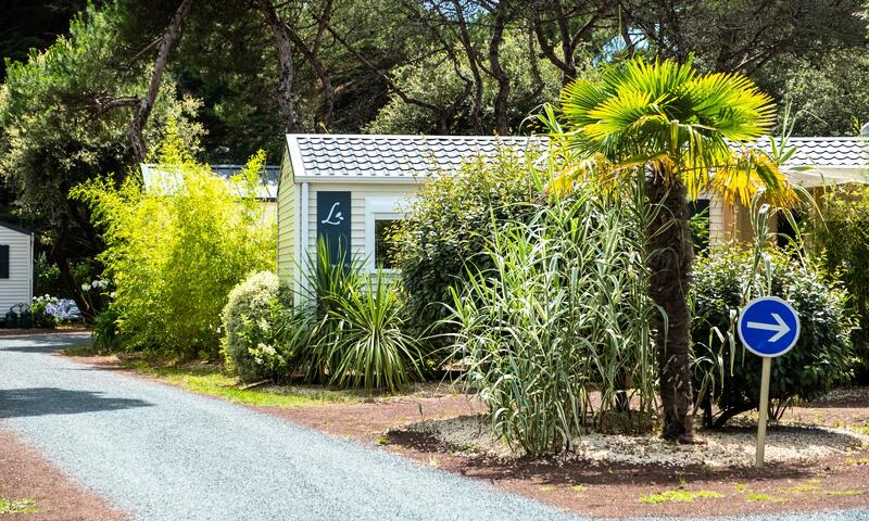 Camping La Grainetière - Île de Ré - 17