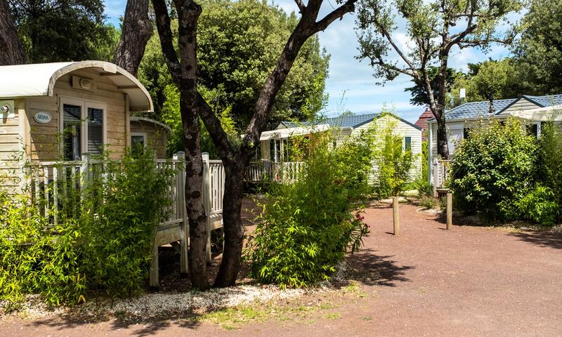 Camping La Grainetière - Île de Ré - 18
