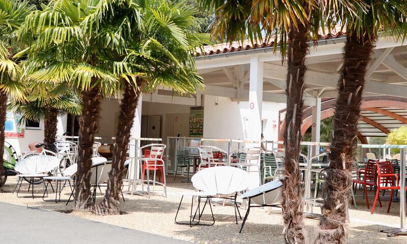 Camping La Grainetière - Île de Ré - 8