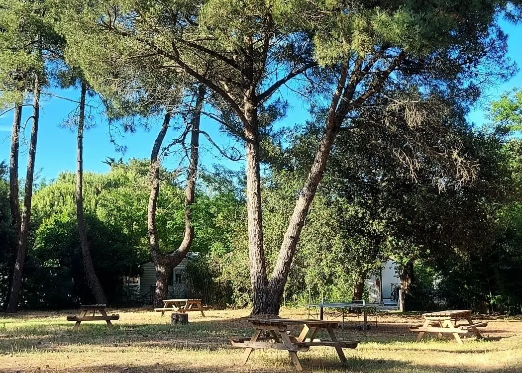 Camping Ushuaïa Villages Les Fougères 4 étoiles★★★★