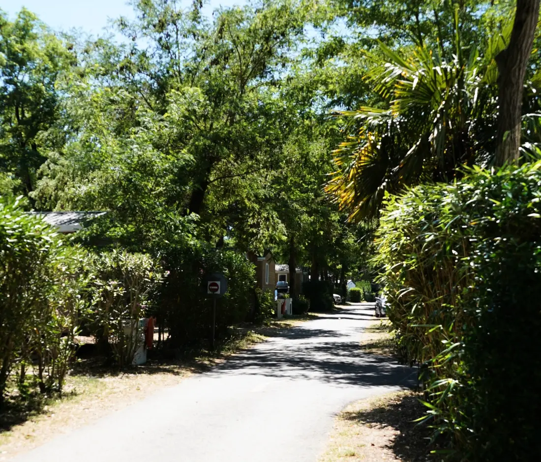 Camping Ushuaïa Villages Les Fougères 4 étoiles★★★★