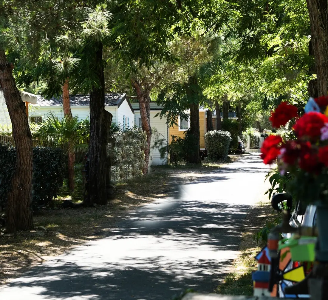 Camping Ushuaïa Villages Les Fougères 4 étoiles★★★★