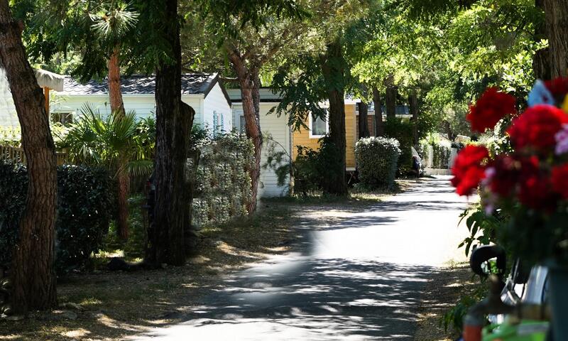 Camping Ushuaia Les Fougères **** - Île de Ré - 7