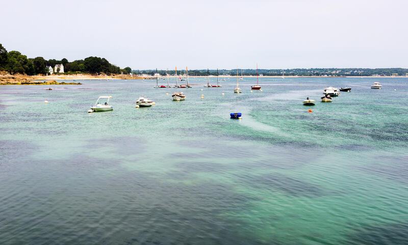 Appartements à Île Tudy - - Île Tudy - 17