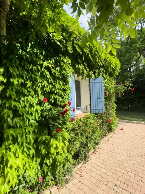 Bastide Azzura - Piscine Privée