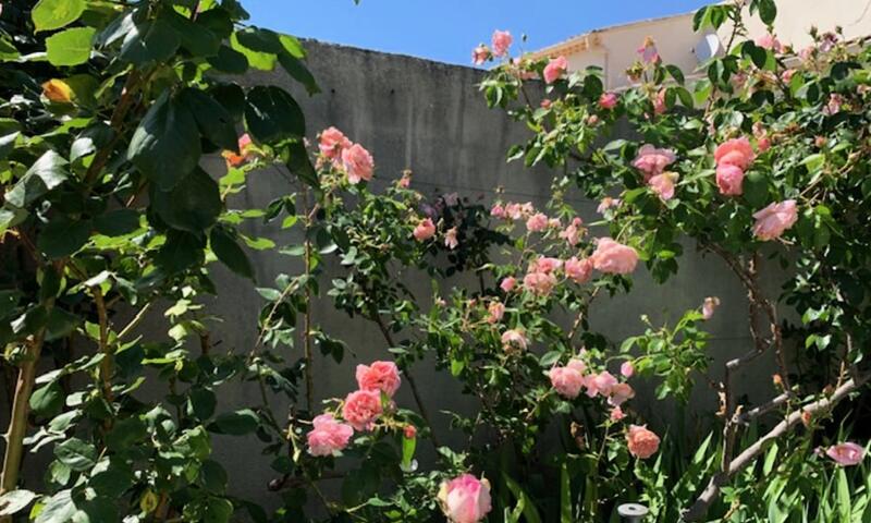 La Maison Rose - Piscine Privée Proche Centre Ville - - Isle-sur-la-Sorgue - 12