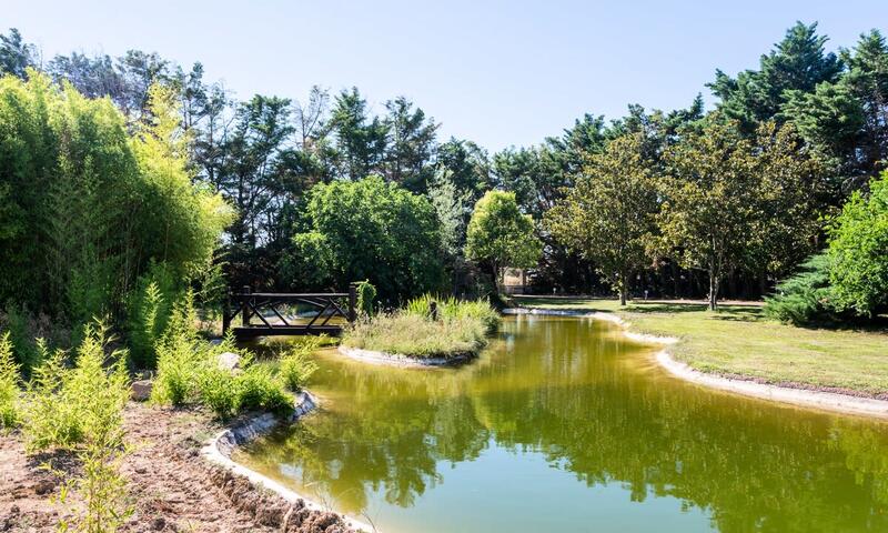 Superbe Mas Provençal - Piscine - Tennis - Parc - - Isle-sur-la-Sorgue - 40