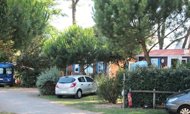 Camping le Bosquet** - - Jard sur Mer - 13