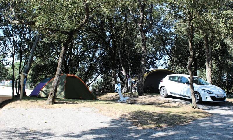 Camping le Bosquet** - - Jard sur Mer - 17