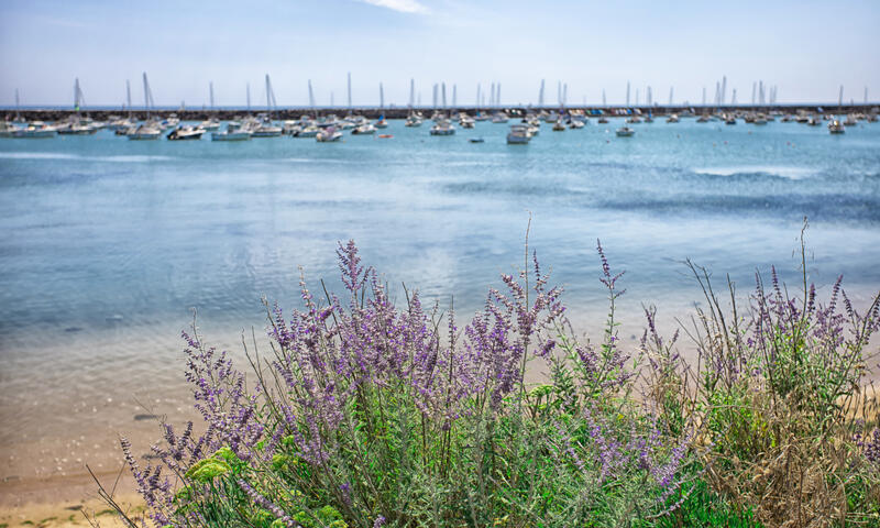 Camping le Bosquet** - - Jard sur Mer - 6