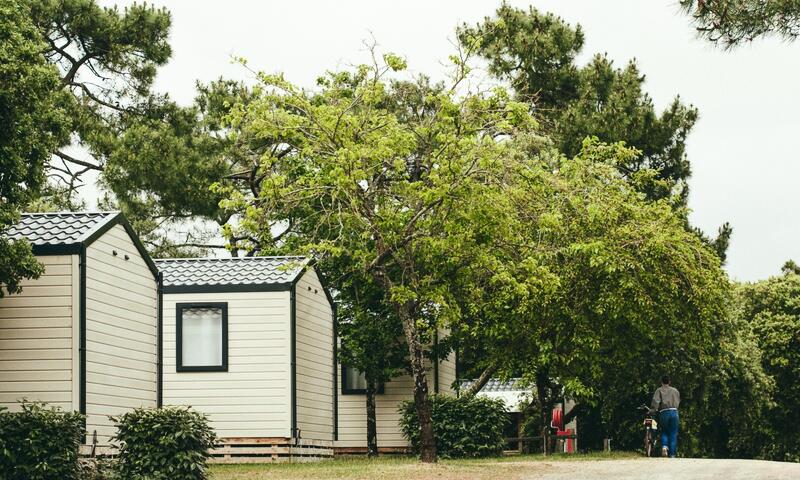 Camping maeva Respire Parfums d'été **** - Jard sur Mer - 15