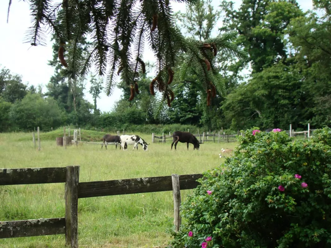 Gîte de France Lou peyrahout 3 épis - - Javerdat - 47