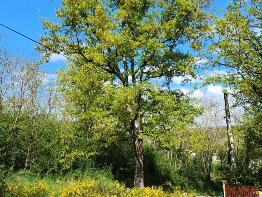 Maison de Vacances Jenzat 4