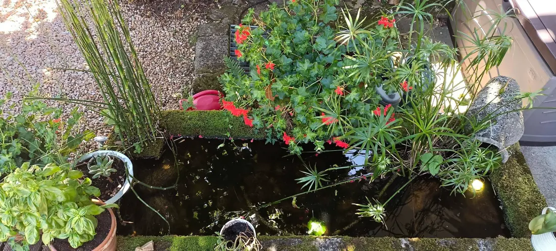 Gîte de France Les eglantiers 4 épis