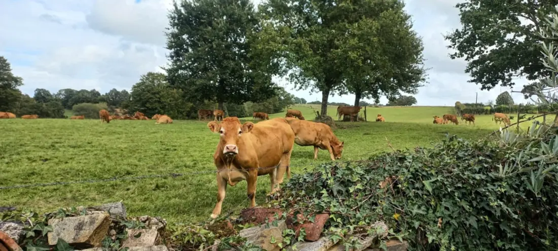 Gîte de France Les eglantiers 4 épis