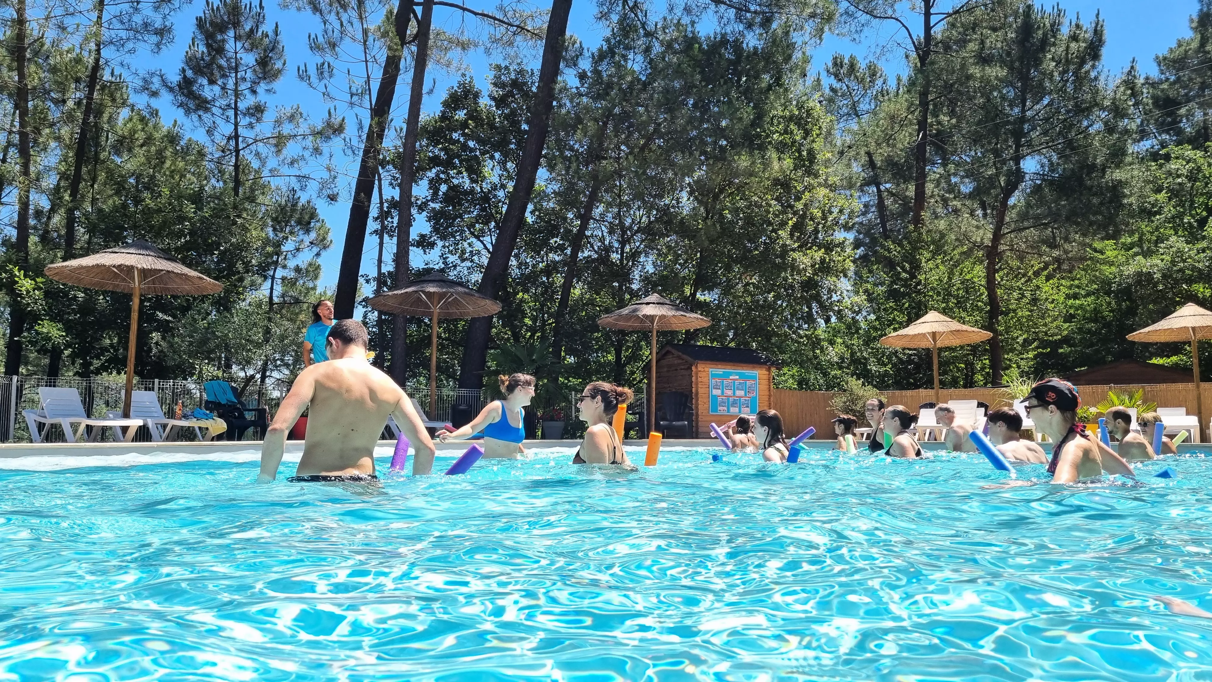 Camping Paradis Bois Simonet**** - Joyeuse - 2