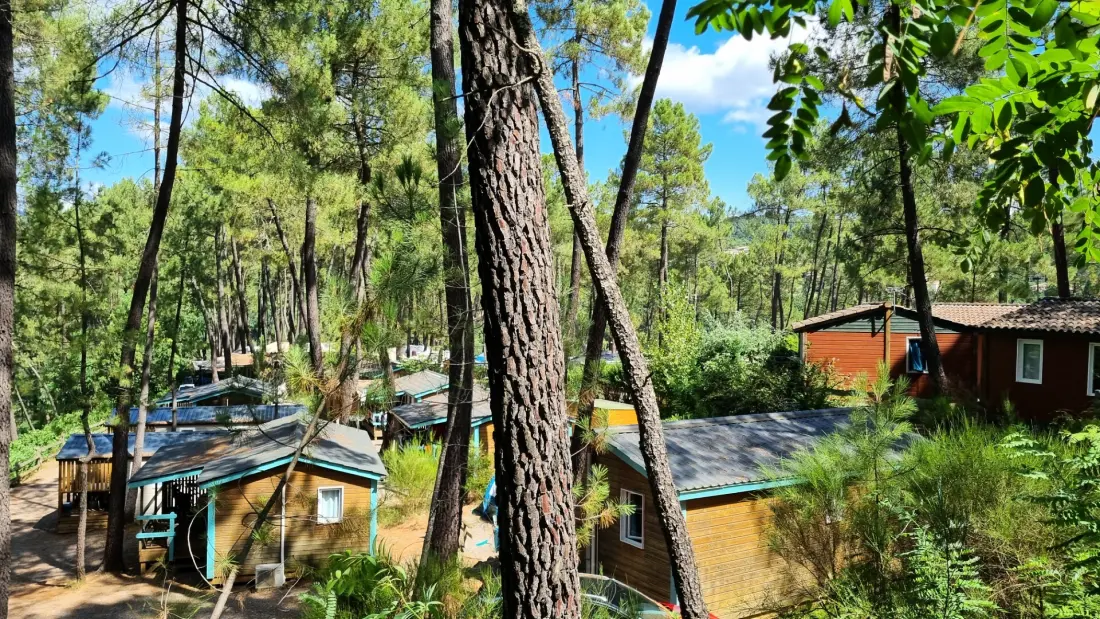 Camping Paradis Bois Simonet4 étoiles★★★★