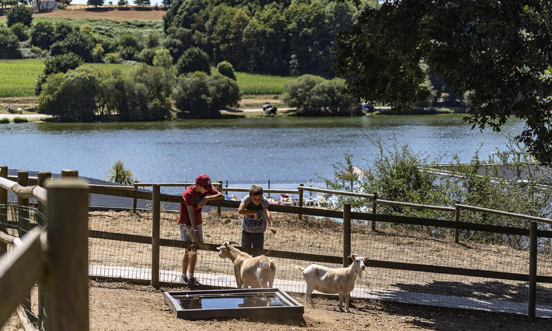 France - Bretagne - Jugon les Lacs - Camping Romanée Au Bocage du Lac 4*