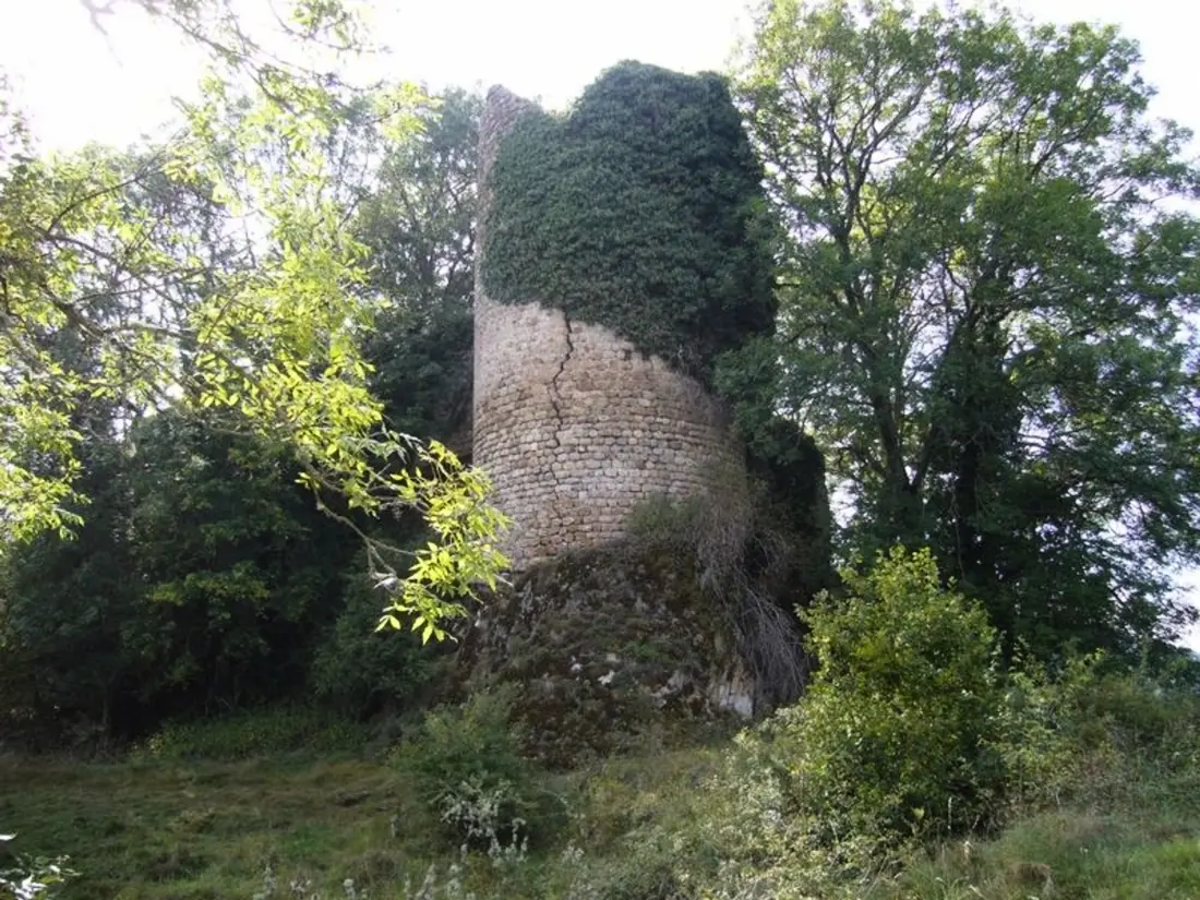 Maison de Vacances Jullianges 3