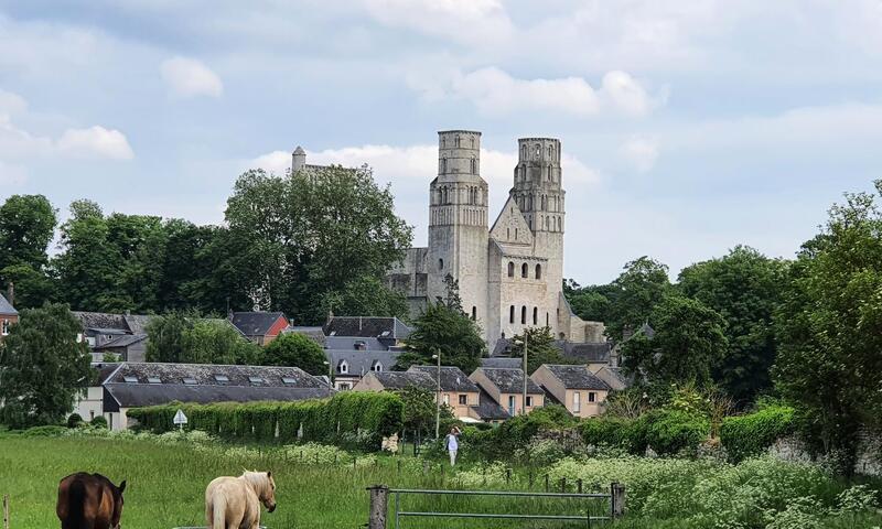 Gîte de France Le petit gîte du loup vert 3 épis - - Jumièges - 4