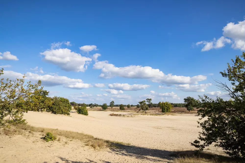 Camping Marvilla Parks Kaatsheuvel