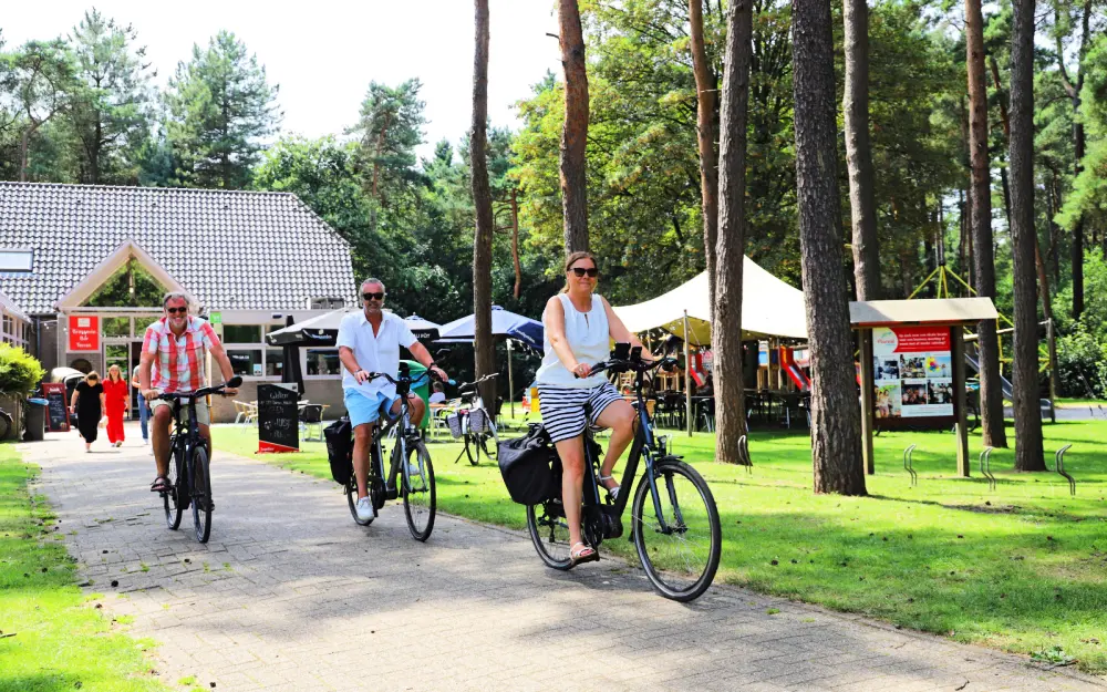 Camping Kempen 4 étoiles★★★★