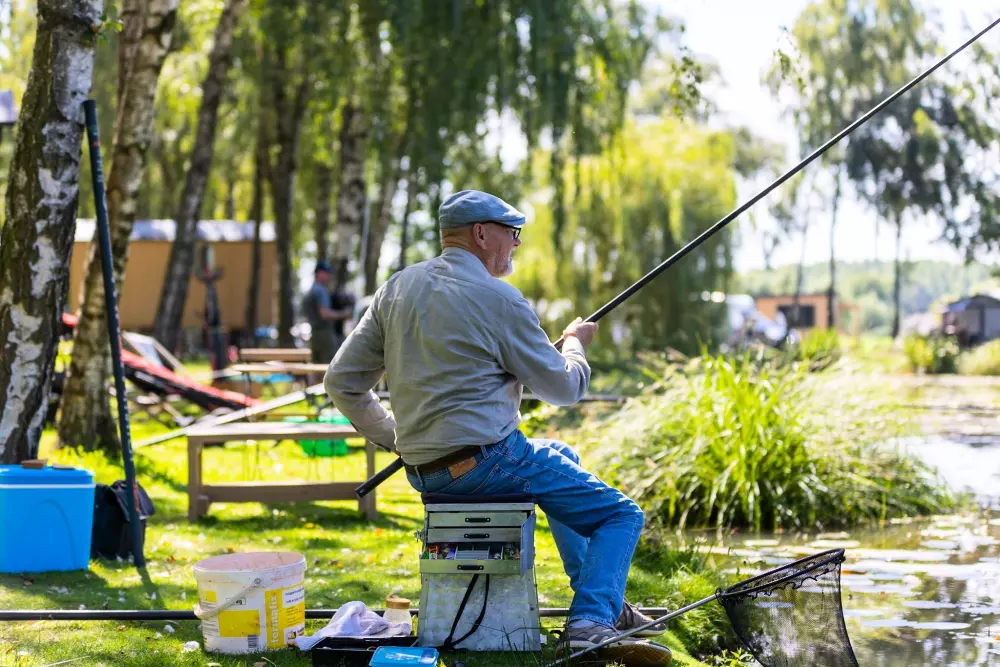 Papillon Kinrooi 3 étoiles★★★