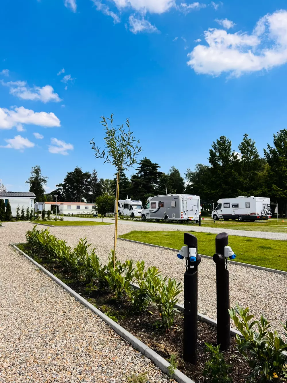 Papillon Kinrooi 3 étoiles★★★