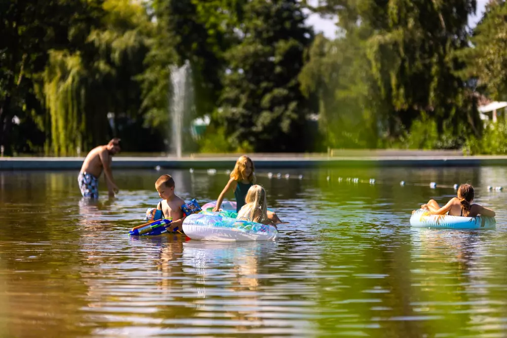 Papillon Kinrooi 3 étoiles★★★