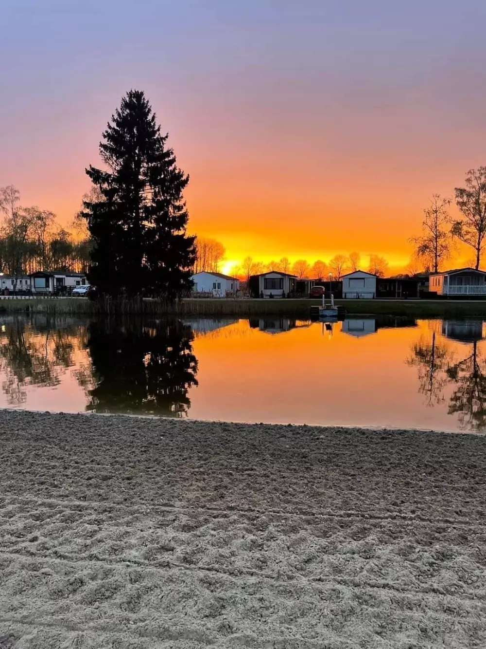 Papillon Kinrooi 3 étoiles★★★