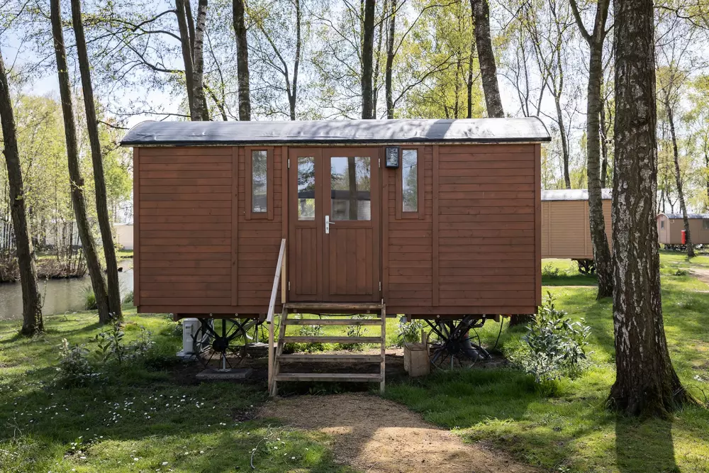 Papillon Kinrooi 3 étoiles★★★