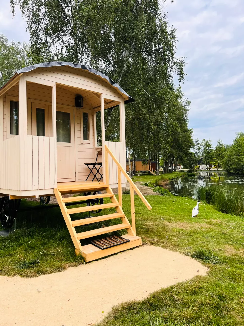 Papillon Kinrooi 3 étoiles★★★