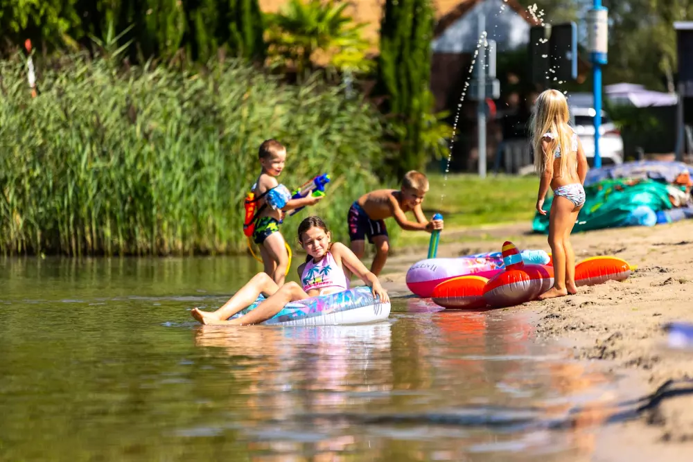 Papillon Kinrooi 3 étoiles★★★