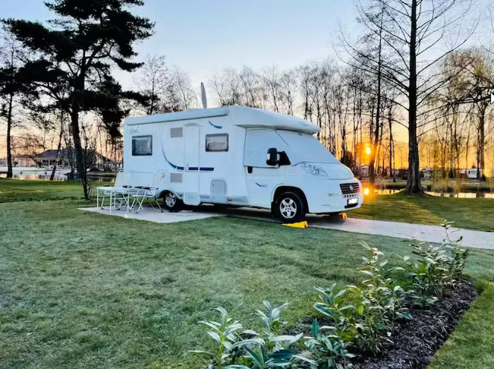 Papillon Kinrooi 3 étoiles★★★