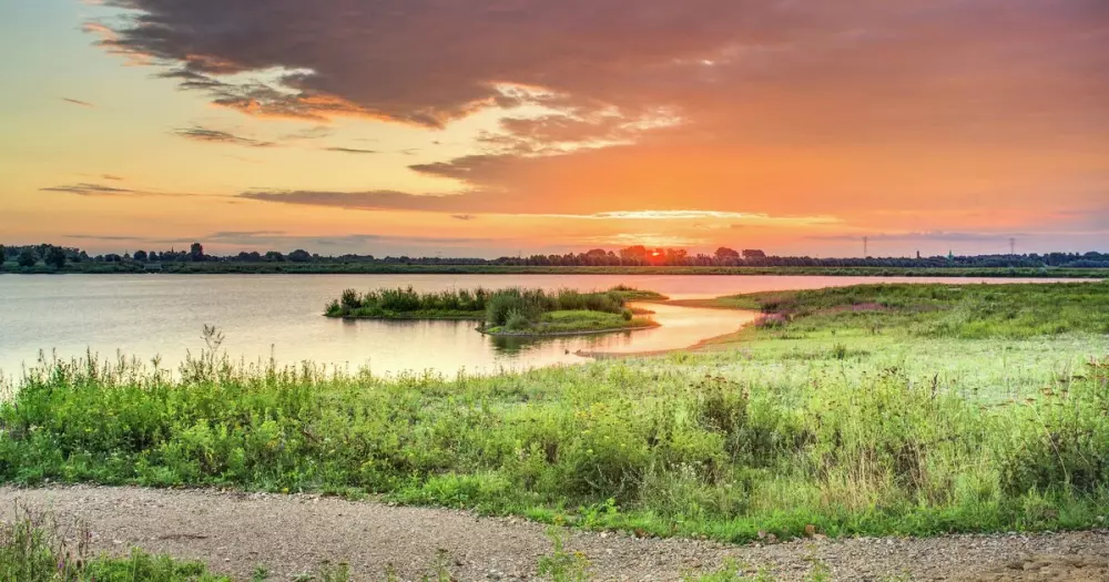 Papillon Kinrooi 3 étoiles★★★