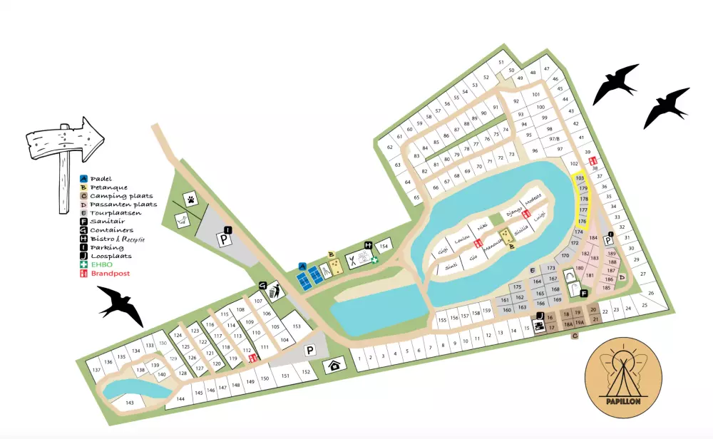 Papillon Kinrooi 3 étoiles★★★