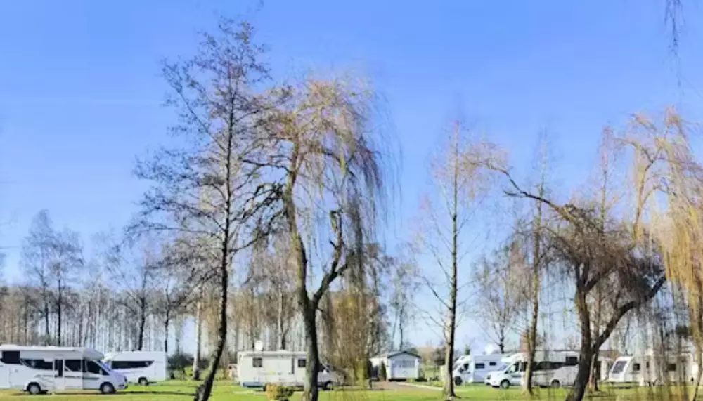 Papillon Kinrooi 3 étoiles★★★