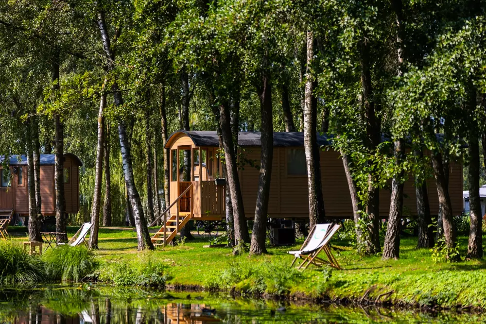 Papillon Kinrooi 3 étoiles★★★