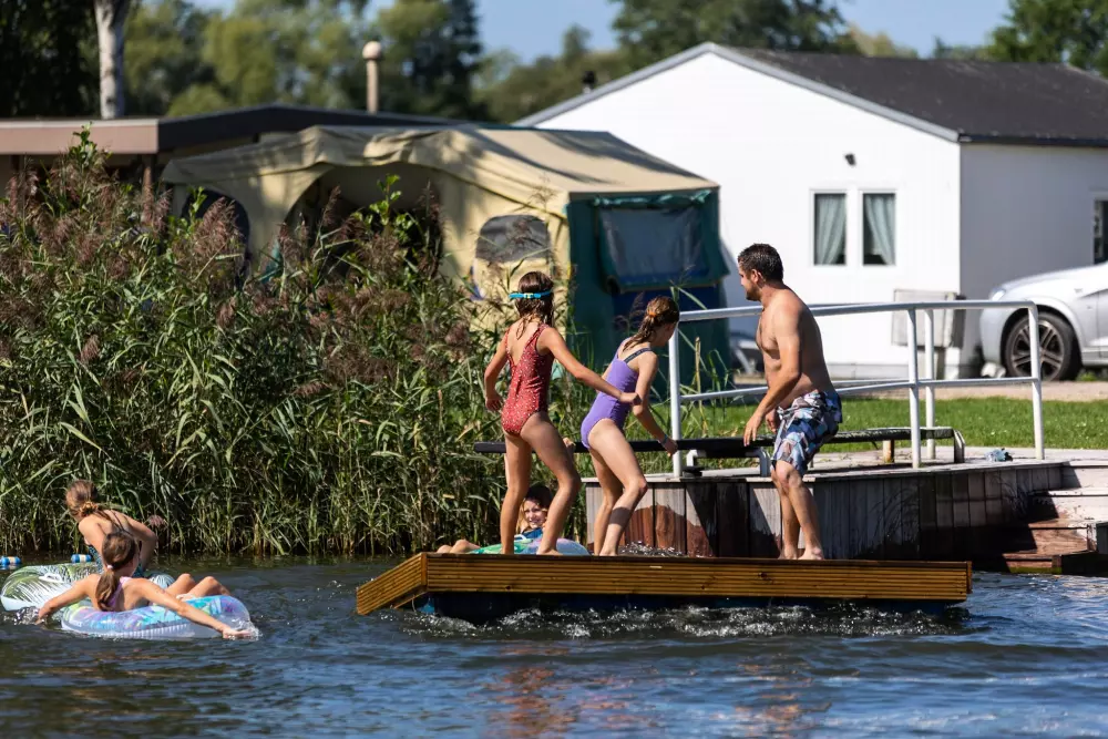 Papillon Kinrooi 3 étoiles★★★