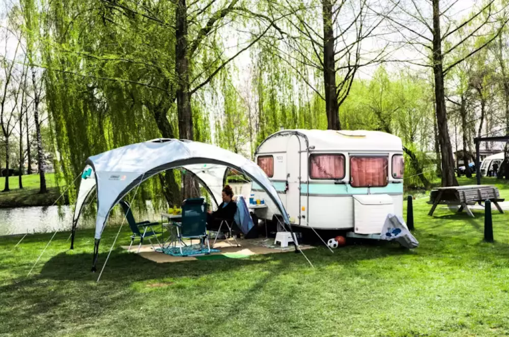 Papillon Kinrooi 3 étoiles★★★