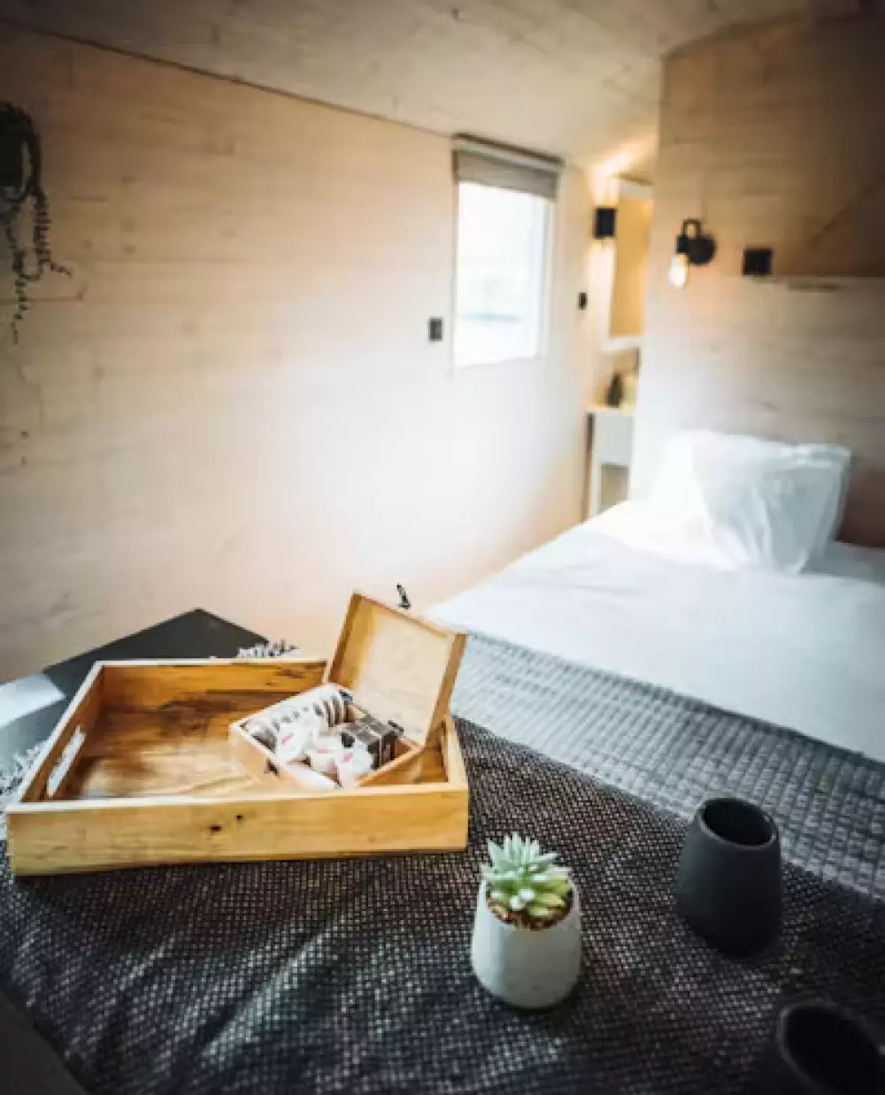 Papillon Kinrooi 3 étoiles★★★