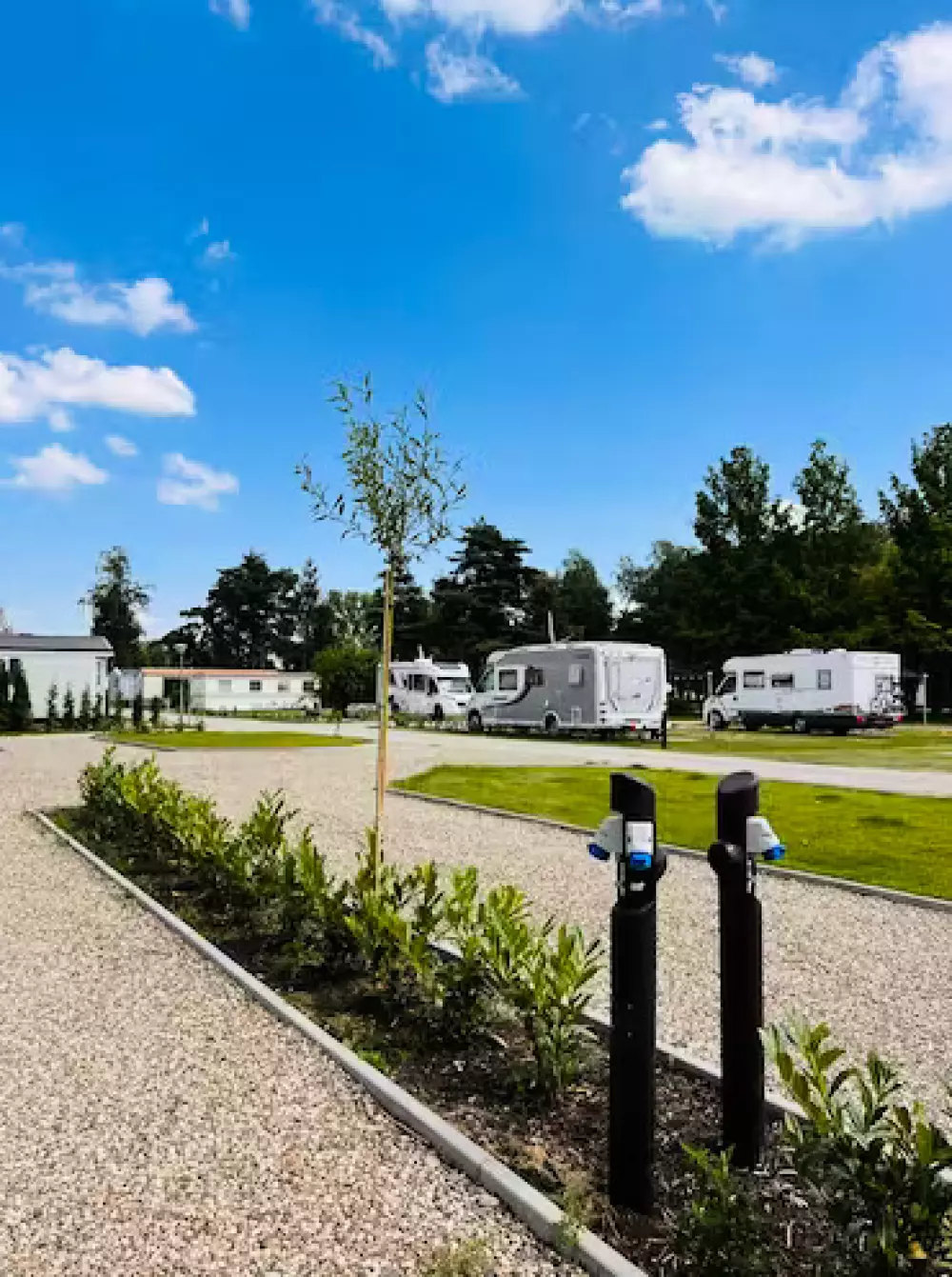 Papillon Kinrooi 3 étoiles★★★