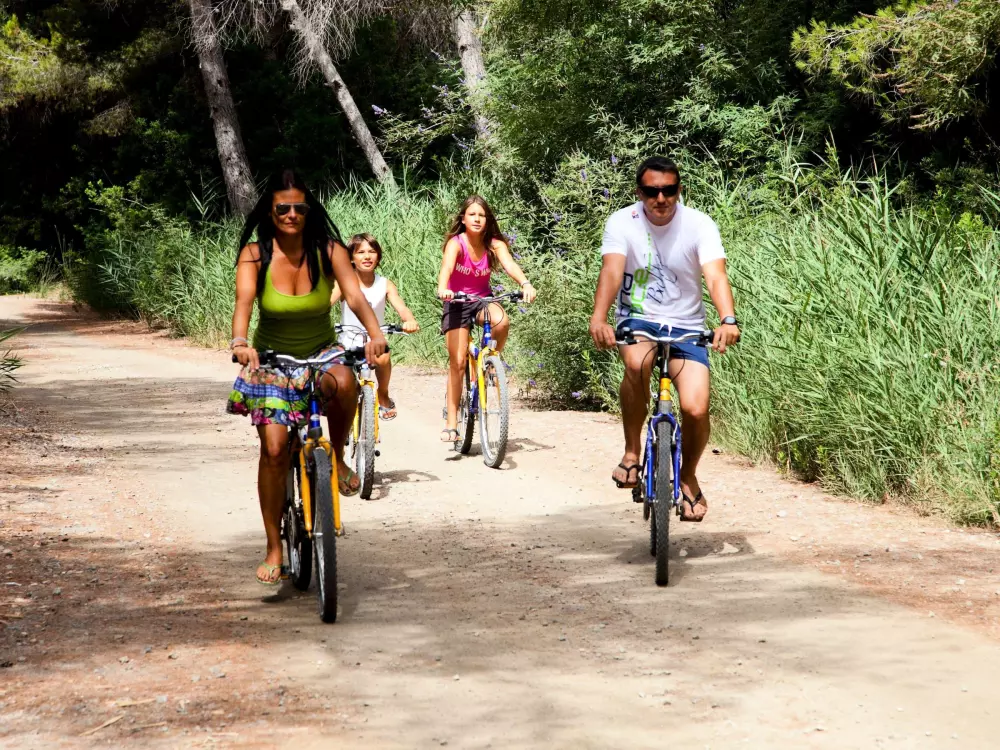 Location de Vacances L'Ametlla de Mar 202