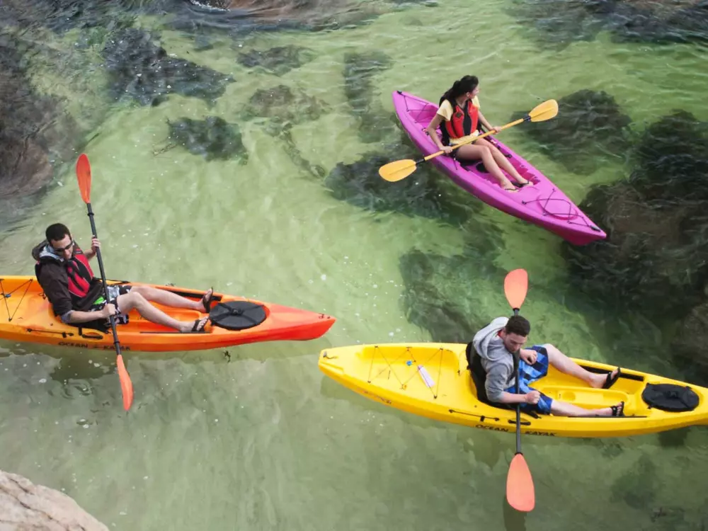 Location de Vacances L'Ametlla de Mar 203
