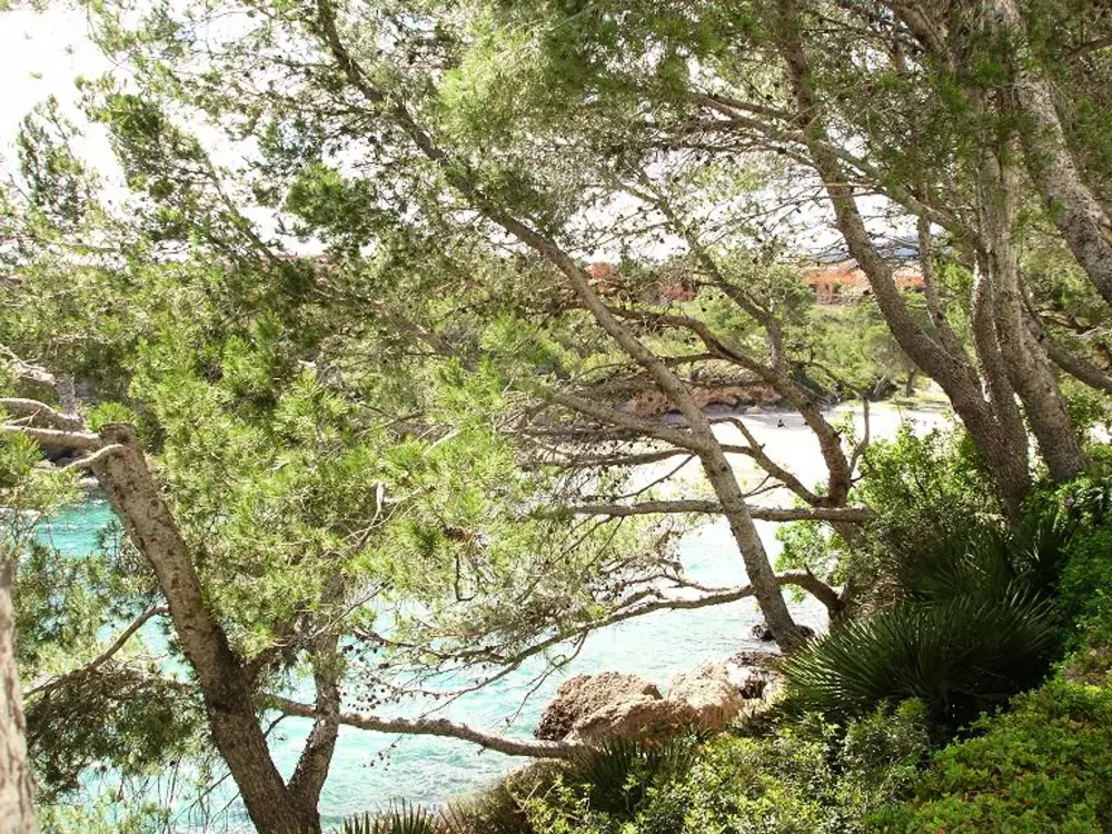 Location de Vacances L'Ametlla de Mar 212