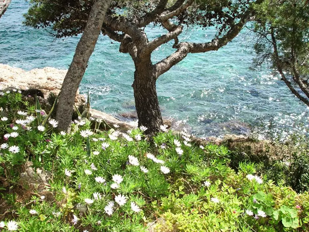 Location de Vacances L'Ametlla de Mar 212